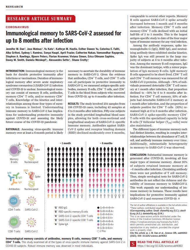 Immunological memory to SARS-CoV-2 assessed for up to 8 months after  infection