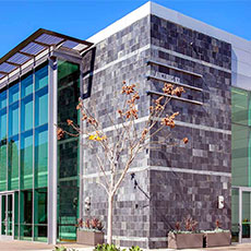 Arcturus Therapeutics office